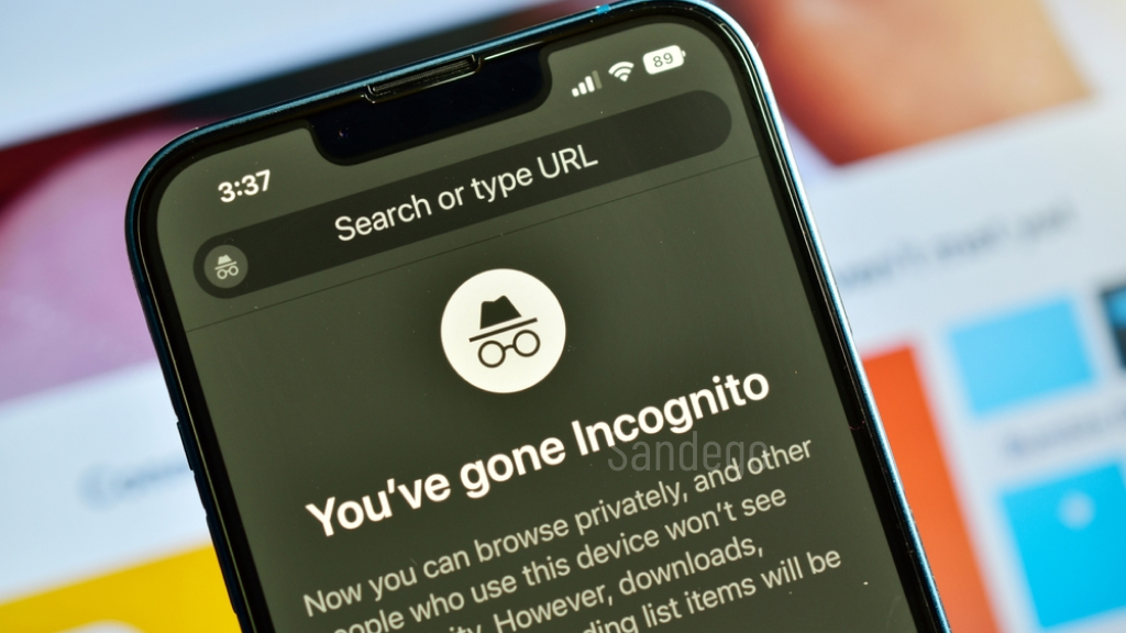 use incognito mode in a web browser,