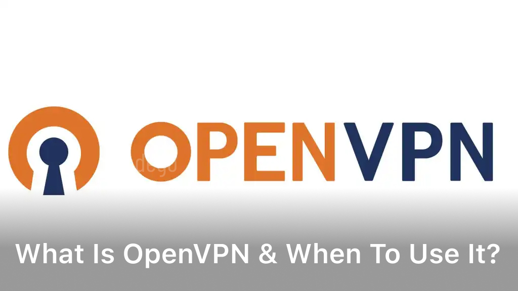 What is OpenVPN & When to Use It?
