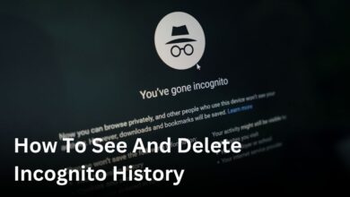 how to see and delete incognito history