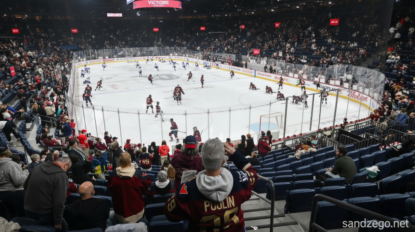 PWHL postpones playoff game due to player safety illness concerns
