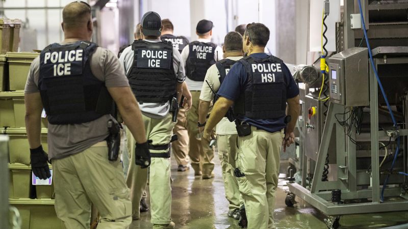 2019-08-08t020853z-220064872-rc14026dd550-rtrmadp-3-usa-immigration-arrests