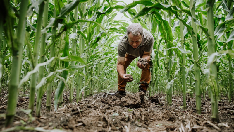 farmer-under-corn