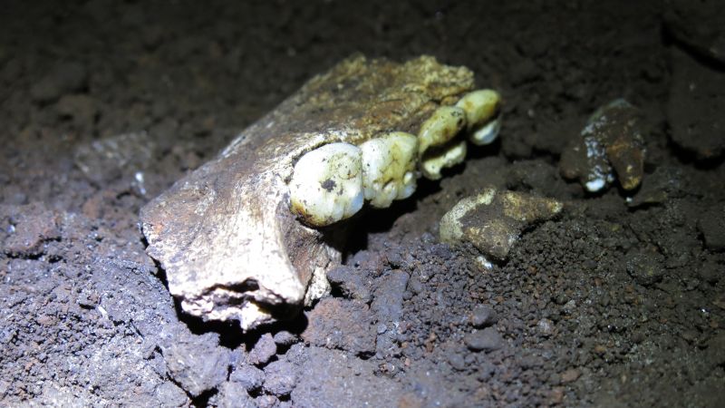 10-national-geographic-rising-star-naledi-excavation-credit-mathew-berger