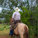 horseriding