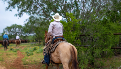 horseriding