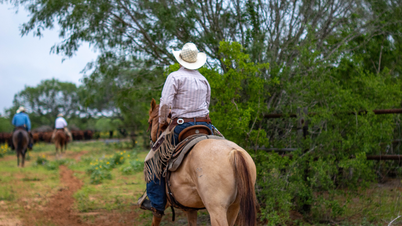 horseriding
