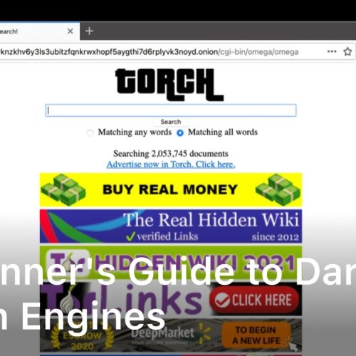A Beginner's Guide to Dark Web Search Engines
