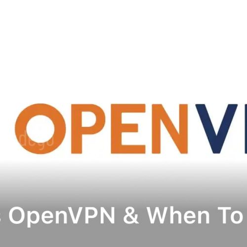 What is OpenVPN & When to Use It?